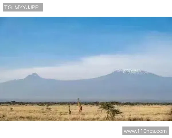 布莱克尼的神秘传说与历史遗迹探秘之旅